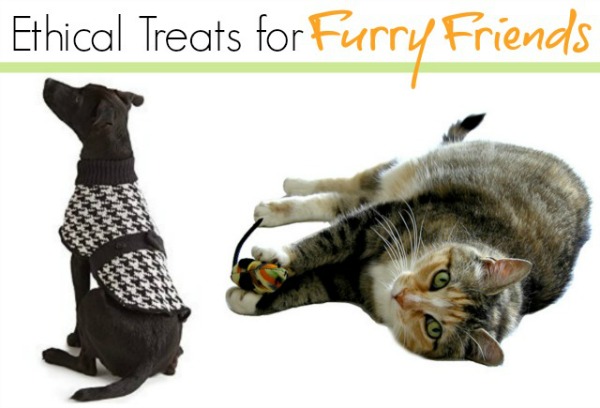 Ethical Pet Accessories