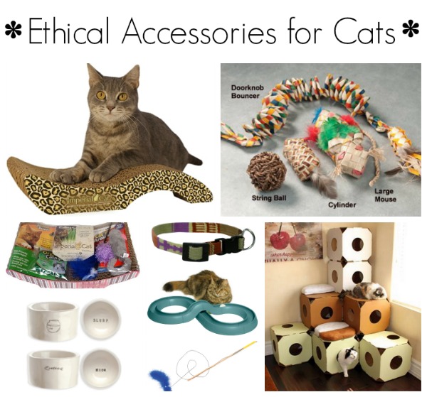 ethical accessories cats-1