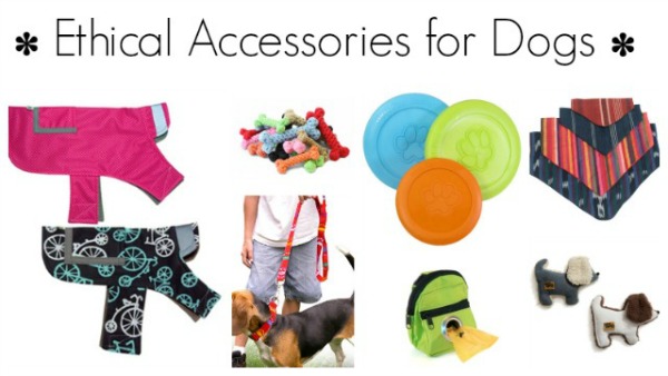 ethical accessories for dogs